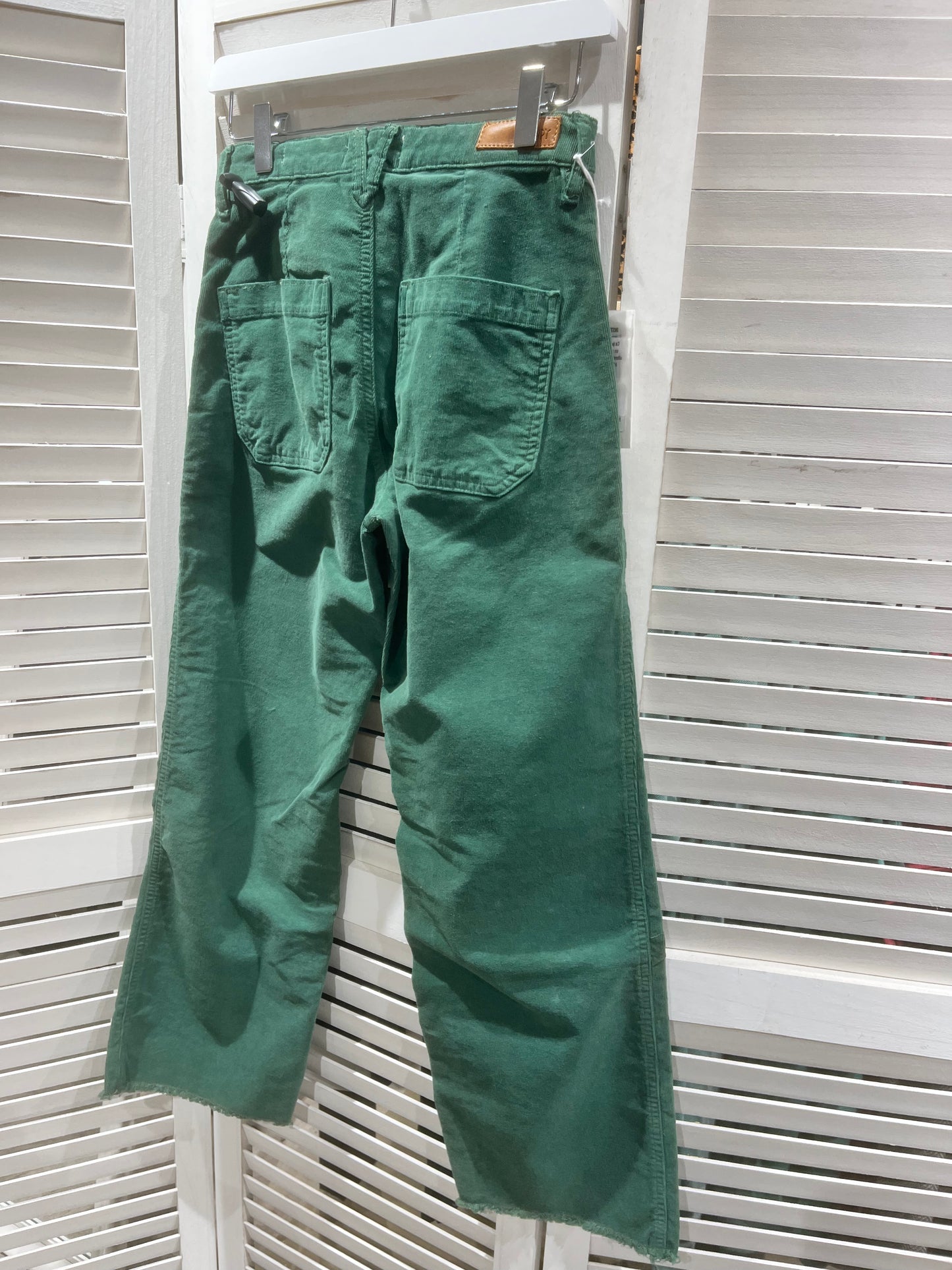 Pantalon swetty velvet lichen