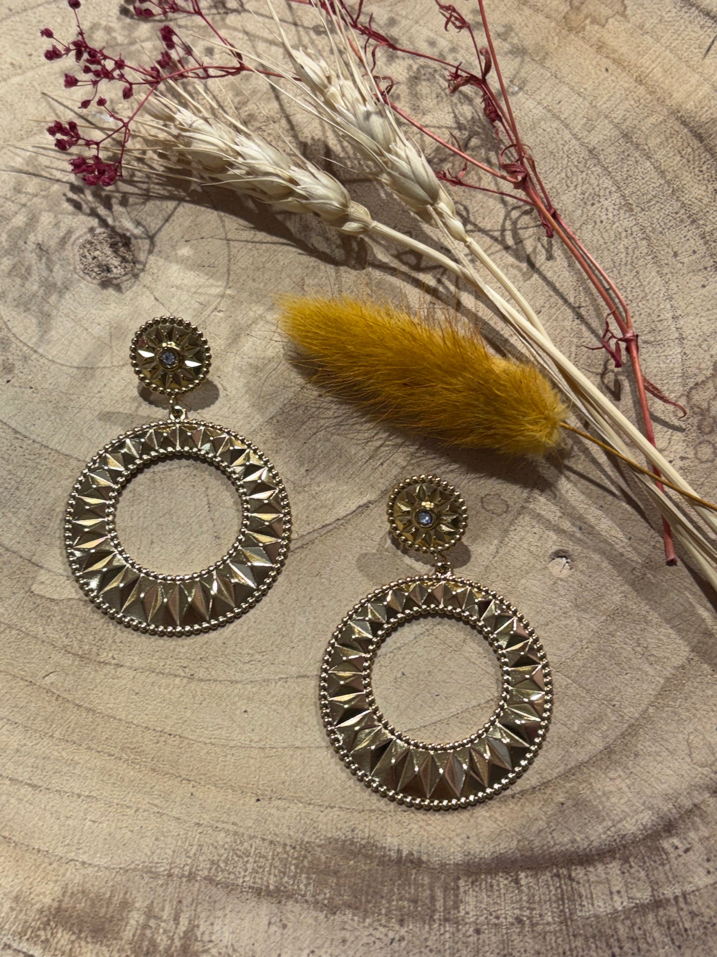 Boucles d'oreilles